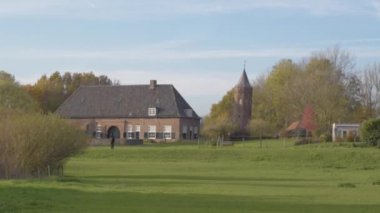 Yeşil çayırlarda otlayan güzel siyah atın manzaralı görüntüleri.