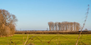 Ooijpolder, Gelderland 'de kış boyunca bir Hollanda polen manzarası