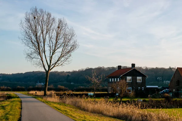 Strada Attraverso Paesaggio Polder Olandese Durante Ora Oro Gelderland Paesi — Foto Stock