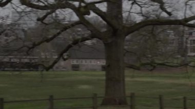 AMSTERDAM, NETHERLANDS - Şubat 2020: Amsterdam Noord, Hollanda 'da Yuva Dizisi