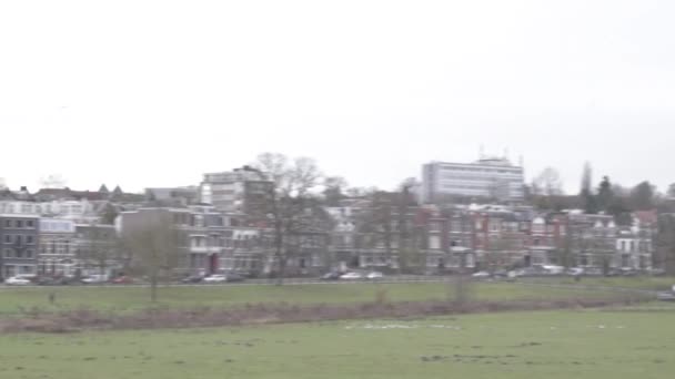 Amsterdam Hollandia 2020 Február Fészekrakás Amszterdamban Noord Hollandia — Stock videók