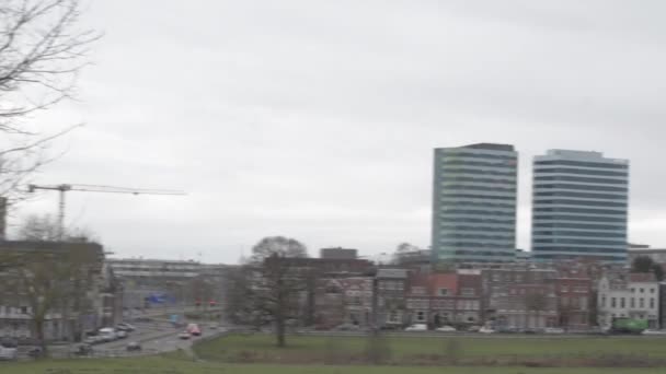 アムステルダム オランダ 2020年2月 オランダのアムステルダム ノールドで巣作り — ストック動画