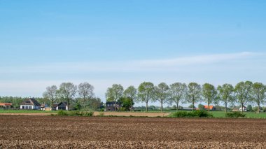 Hollanda 'nın Gelderland bölgesindeki Ooijpolder bölgesinde bir sıra ağaç ve ev önündeki Hollanda çayır arazisi.