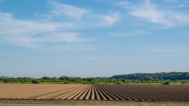 Hollanda 'nın Ooijpolder' de baharda çektiği bir Hollanda çayırı manzarası