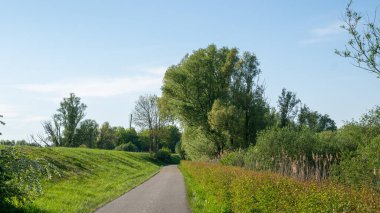 Bisikletçiler için bisiklet yolu Polder 'da yolu olan Hollandalı bir hendeğin yanında.