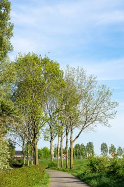 Bisikletçiler için bisiklet yolu Polder 'da yolu olan Hollandalı bir hendeğin yanında.