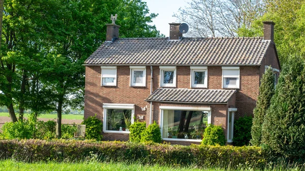 木の横にあるオランダのポルダーの風景の中に立つ典型的なオランダの古い家 — ストック写真