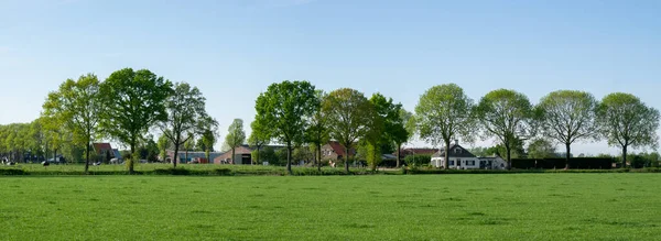 Nederländska Äng Landskap Framför Rad Träd Och Hus Holländsk Polder — Stockfoto