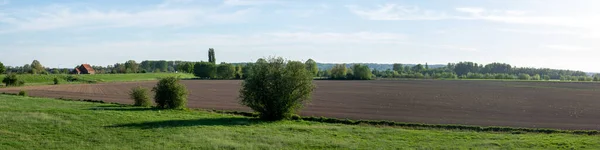 Polderlandschaft Der Niederländischen Landwirtschaft — Stockfoto