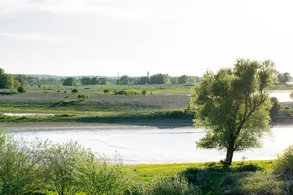 Der Kaliwaal Holländischen Polder Der Ooijpolder Gelderland Niederlande — Stockfoto