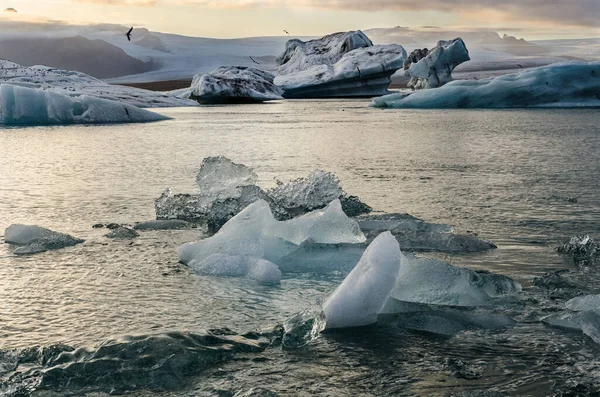 Icebergs em fantástica lagoa glacial Jokulsarlon ao pôr-do-sol. Sudeste da Islândia, Europa. Paisagem fantástica — Fotografia de Stock