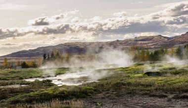 İzlanda Gayzer Strokkur. Görülebilir gayzer vadisi Golgen Circle İzlanda 'da büyük turistik cazibe.