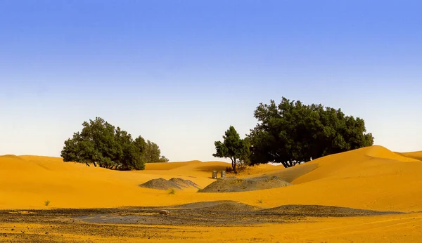 Arena del desierto, contaminación, sahara, morocco — Foto de Stock