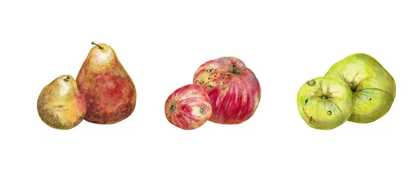 Σετ Από Ζευγάρια Φρούτων Ρεαλιστικό Κόκκινο Κήπο Πράσινα Μήλα Και — Φωτογραφία Αρχείου
