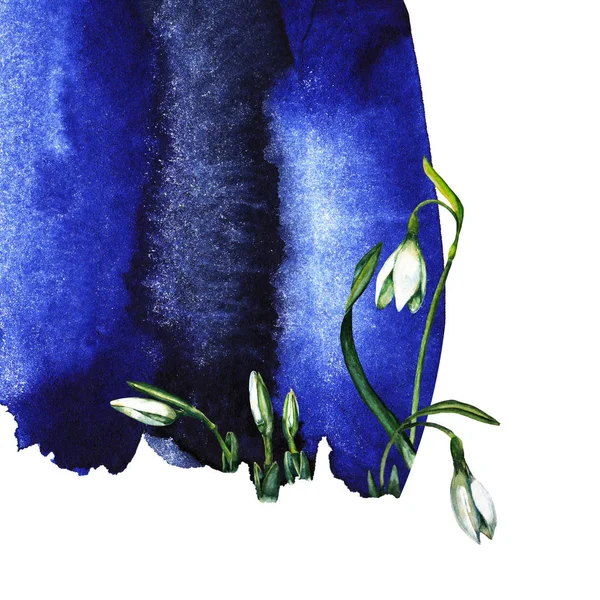 在抽象的深蓝色背景上 用白色的边框装饰着现实的春雪花和花蕾的艺术卡片 森林报春花 水彩画手绘元件 — 图库照片