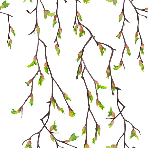 Бесшовный Непрерывный Рисунок Реалистичных Березовых Ветвей Весенней Пасхи Цветущими Бутонами — стоковое фото