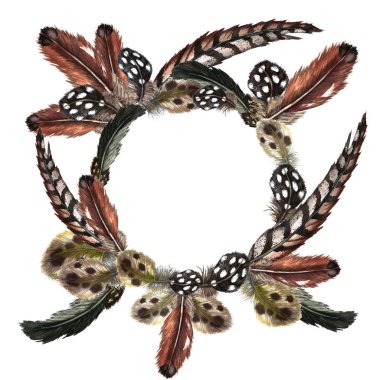 Gerçekçi yerli ve vahşi kuş tüylerinin yuvarlak çerçevesi. Gine tavuğu, bıldırcın, sülün, keklik, ördek. Suluboya elle beyaz arkaplana izole elementler çizdi.