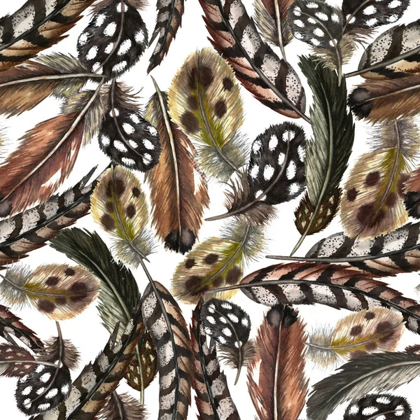 Seamless Pattern Realistic Domestic Wild Birds Feathers Guinea Fowl Quail — Stock Photo, Image