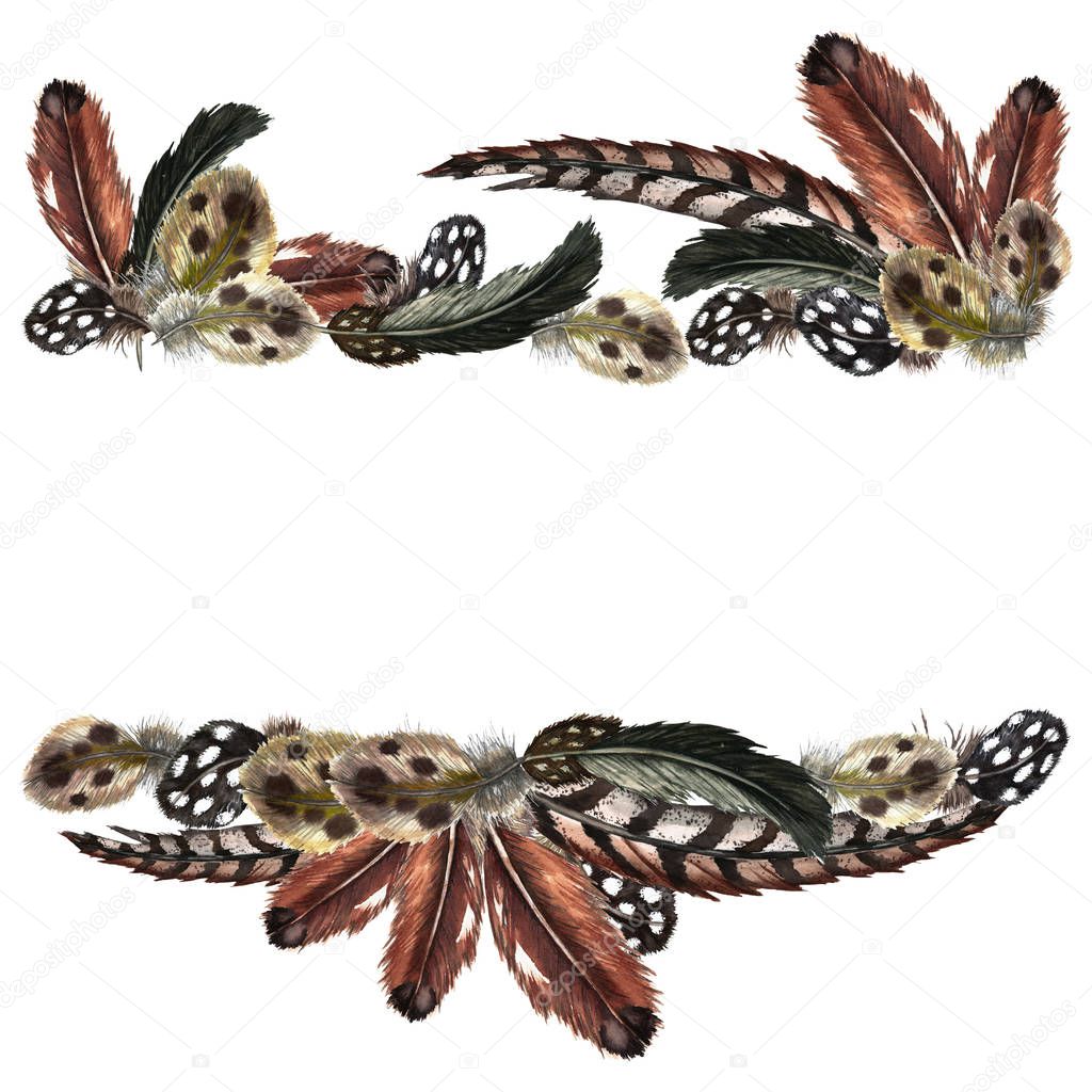Horizontal parallel frame of of realistic domestic and wild birds feathers. Guinea fowl, quail, pheasant, partridge, duck. Watercolor hand painted isolated elements on white background.