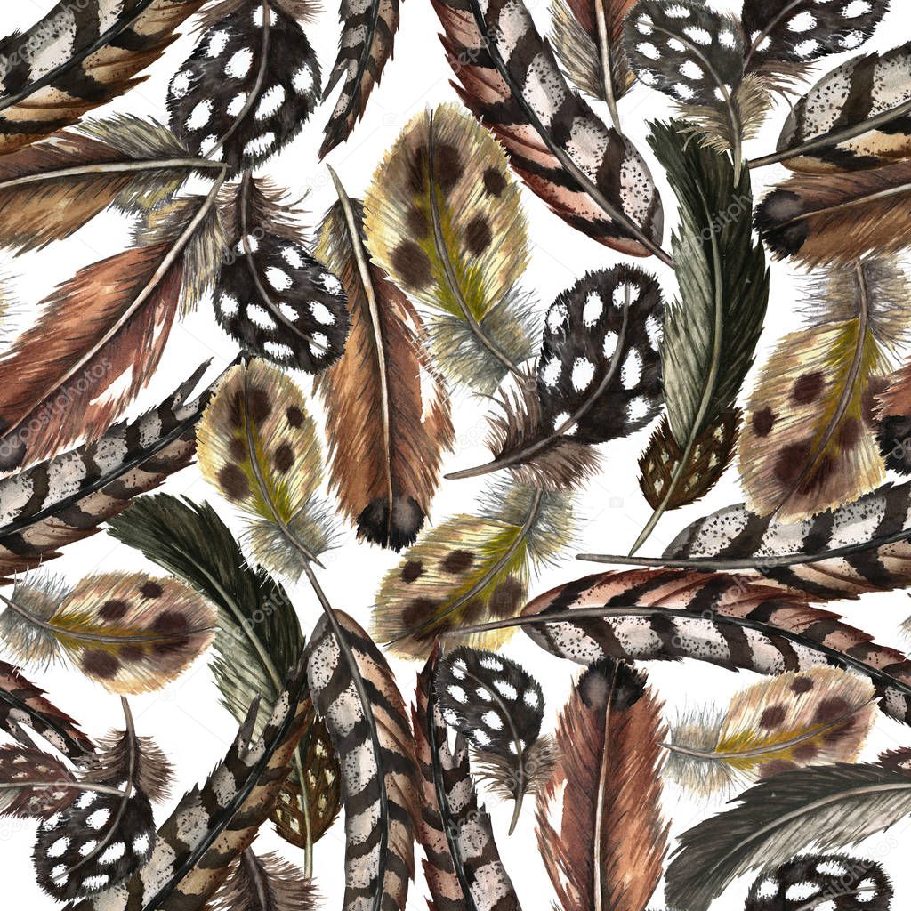 Seamless pattern of of realistic domestic and wild birds feathers. Guinea fowl, quail, pheasant, partridge, duck. Watercolor hand painted isolated elements on white background.