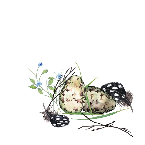Прекрасна Весняна Реалістична Ілюстрація Перепелиних Яєць Сухими Гілками Пір Свіжою — стокове фото