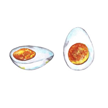 İkiye bölünmüş haşlanmış yumurtanın gerçekçi bir tasviri. Suluboya el, izole edilmiş elementleri beyaz arka plana boyamış. Görüntüyü kapat.