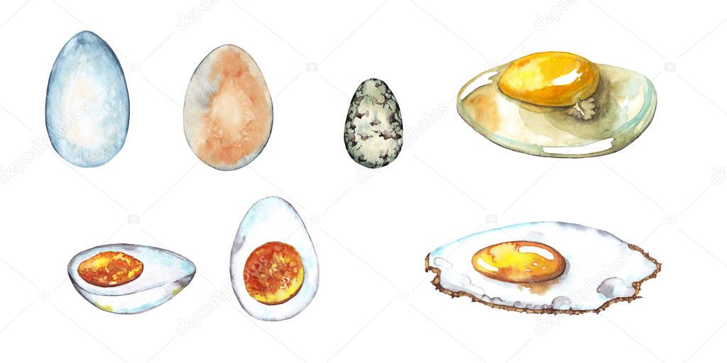 Set of realistic fresh and cooked chicken and quail eggs. Raw, boiled and fried. Watercolor hand painted isolated elements on white background. Close up view.