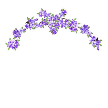 Gerçekçi leylak çiçeklerinden oluşan güzel bir yarım daire çelenk. Paskalya bahar dekorasyonu. Suluboya elle beyaz arkaplana izole elementler çizdi.