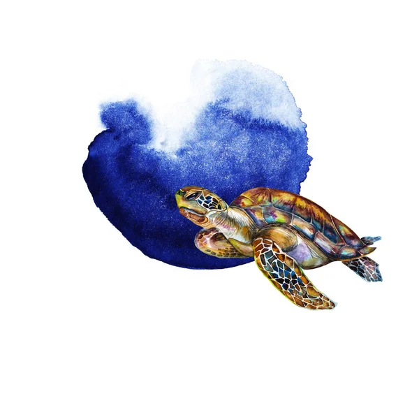 抽象的な青い点で現実的な虹色のカメの水泳 海洋野生動物 水彩手は白い背景に孤立した要素を描いた — ストック写真