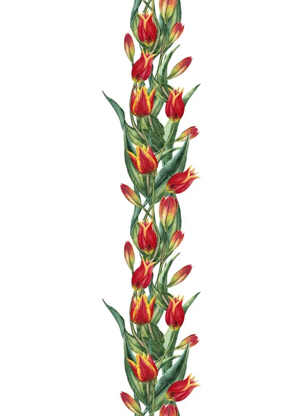 Nahtlose Senkrechte Girlande Aus Realistischen Roten Tulpen Elegante Raffinierte Zeremonielle — Stockfoto