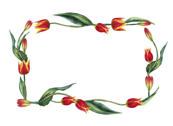 现实的红色郁金香的矩形框架 开花和花蕾花序 3月8日妇女节的经典节日装饰 水彩画在白色背景上的孤立元素 — 图库照片