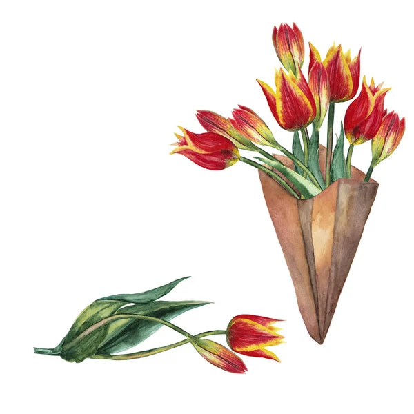 Boeket Van Realistische Rode Tulpen Markt Pakket Bloeiend Knoppen Bloeiwijzen — Stockfoto