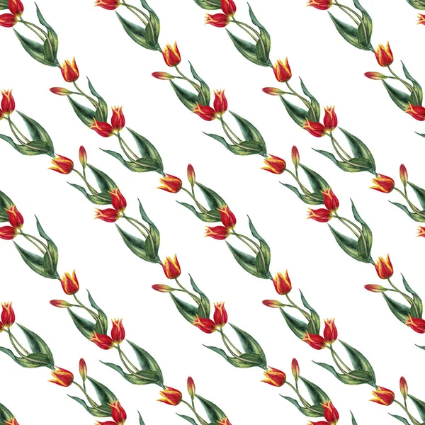 Patrón Sin Costuras Tulipanes Rojos Realistas Tallos Con Hojas Orden — Foto de Stock