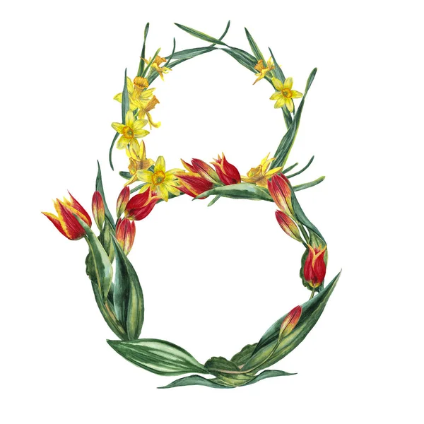 Blommig Illustration Naturliga Röda Tulpan Och Gula Narcisser Blommor Nummer — Stockfoto