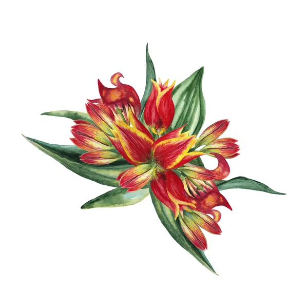 Kompozycja Kwiatowa Realistycznych Kwitnących Świeżych Wiosennych Kwiatów Czerwone Tulipany Widoku — Zdjęcie stockowe