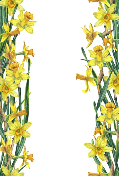 Vertical Frame Seamless Parallel Borders Realistic Yellow Narcissuses Stems Leaves — Stockfoto