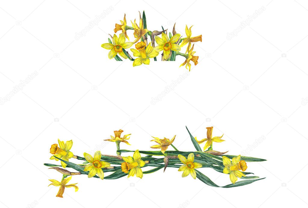 Parallel pattern frame of realistic yellow narcissuses and green leaves. Blossoming inflorescences. Festive decoration for spring events. Watercolor hand painted isolated elements on white background.