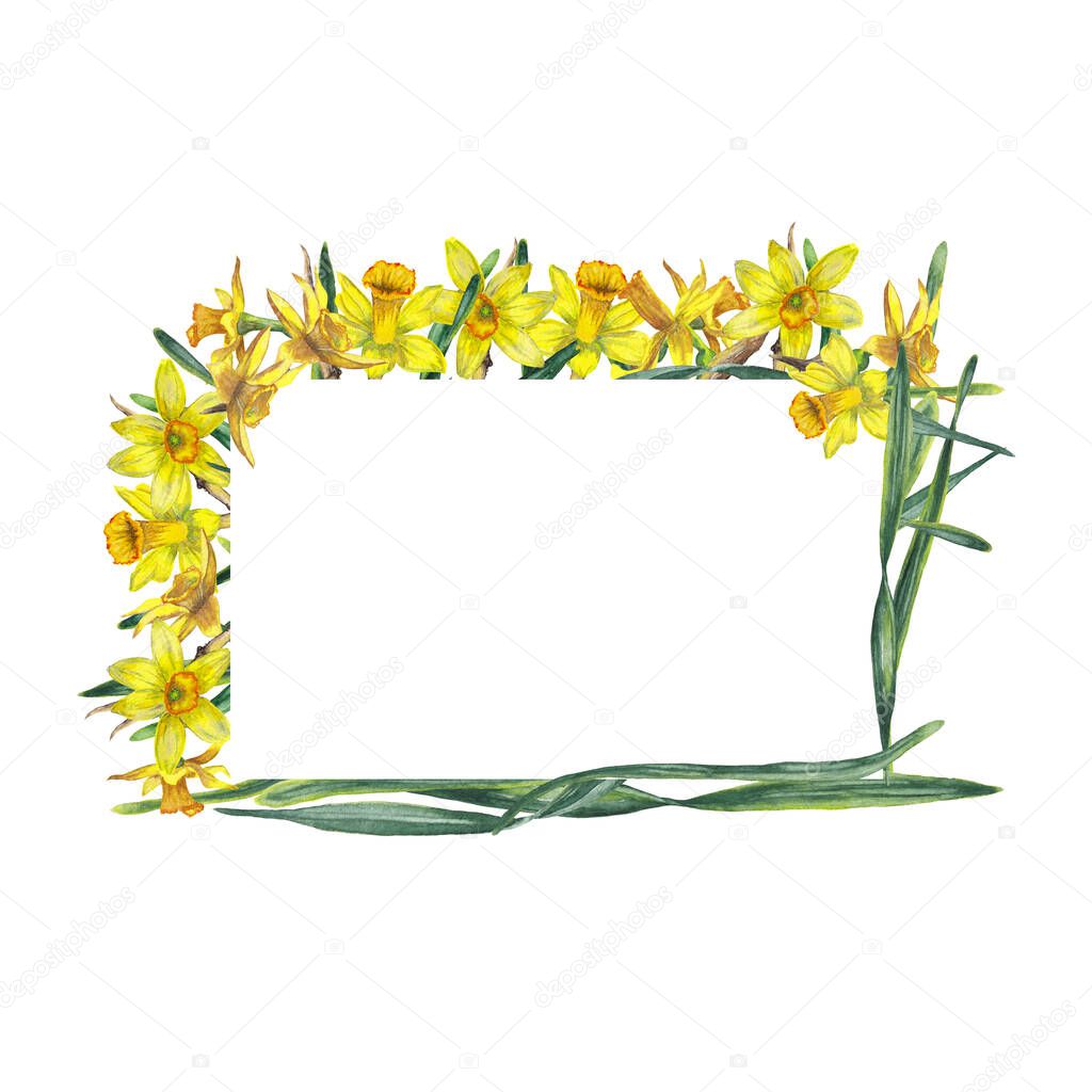 Rectangular frame of realistic yellow narcissuses and green leaves. Blossoming inflorescences. Festive decoration for spring events. Watercolor hand painted isolated elements on white background.