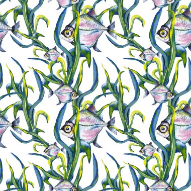 Deniz lahanasında büyük gözlü mavi-pembe balığın kusursuz deseni. Suluboya elle beyaz arkaplana izole elementler çizdi.