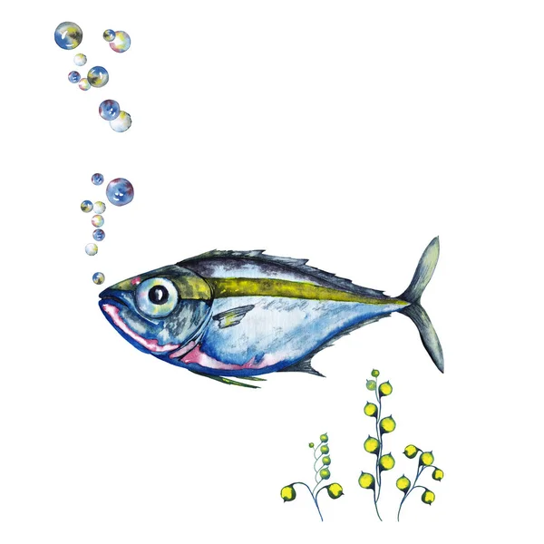 黄緑色の縞模様 海草や気泡を持つ大きな目の海の青ピンクの魚のイラスト 水彩手は白い背景に孤立した要素を描いた — ストック写真