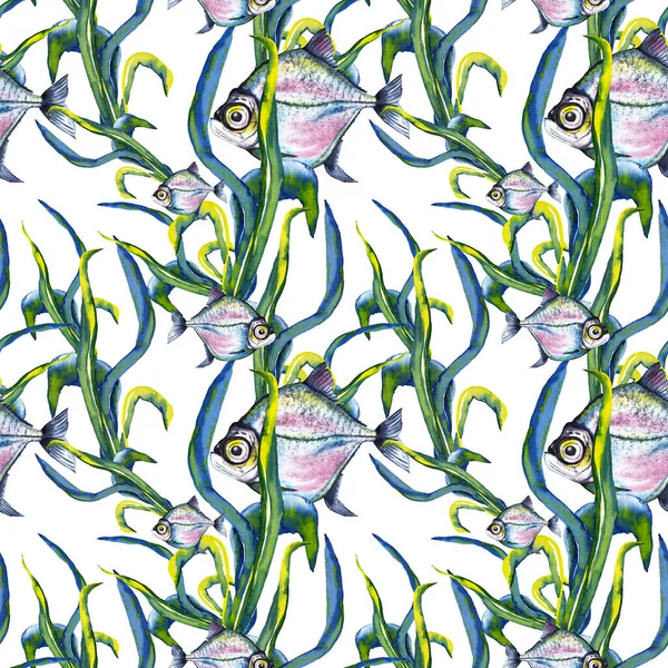 Bezproblémový Vzor Modrorůžové Ryby Velkýma Očima Mořské Kapustě Akvarel Ručně — Stock fotografie