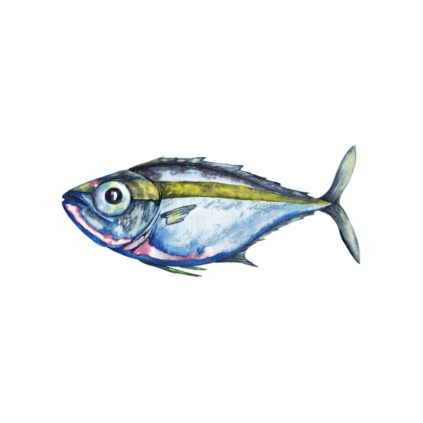 Big Eyed Marine Fish Blue Pink Colours Yellow Green Strip — Stock Photo, Image