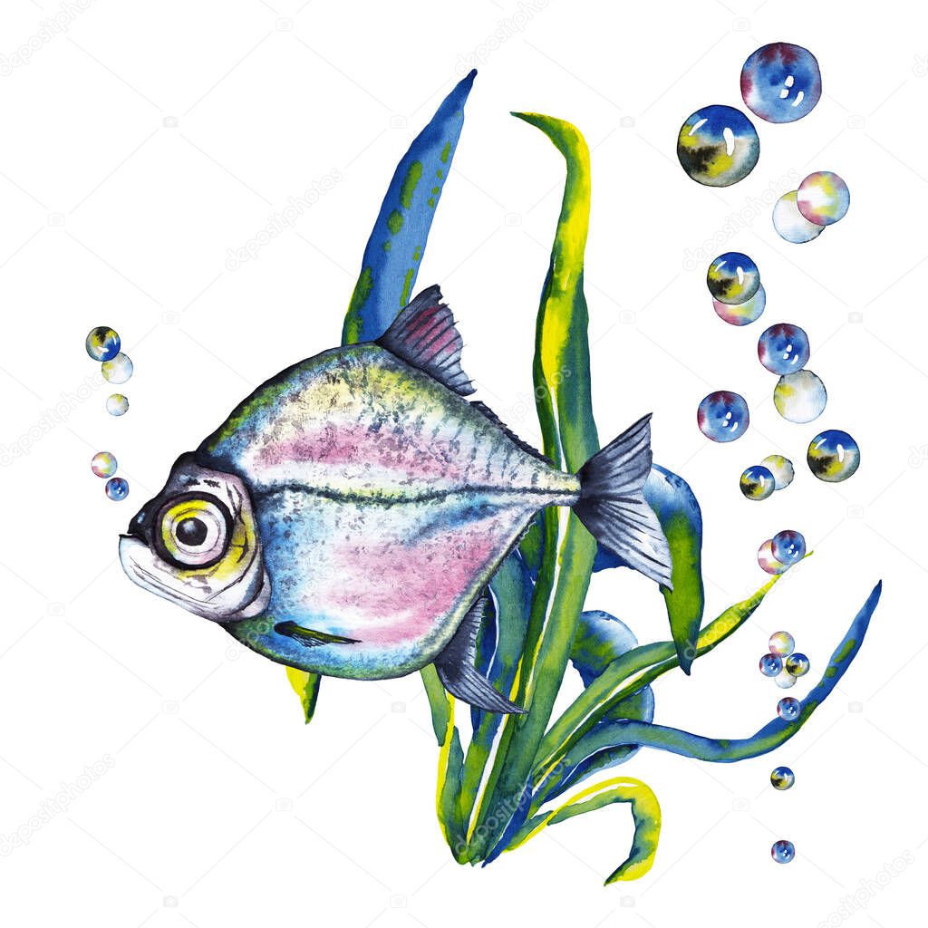 Illustration of big-eyed marine blue-pink fish in sea kale and air bubbles. Watercolor hand painted isolated elements on white background.