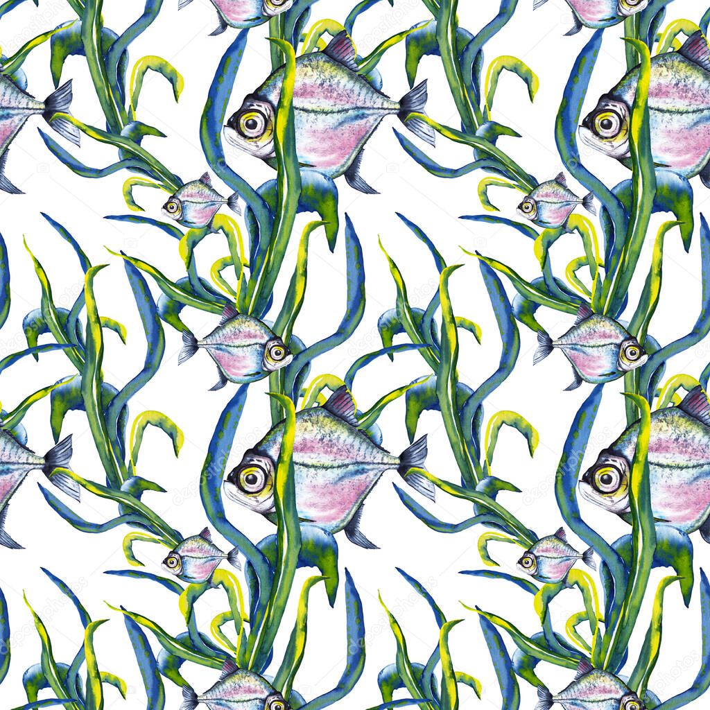 Seamless pattern of big-eyed marine blue-pink fish in sea kale. Watercolor hand painted isolated elements on white background.