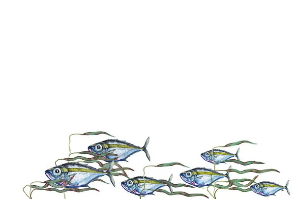 Ilustrace Hejna Modrorůžových Ryb Velkýma Očima Sladké Tekoucí Vodě Kapustovými — Stock fotografie