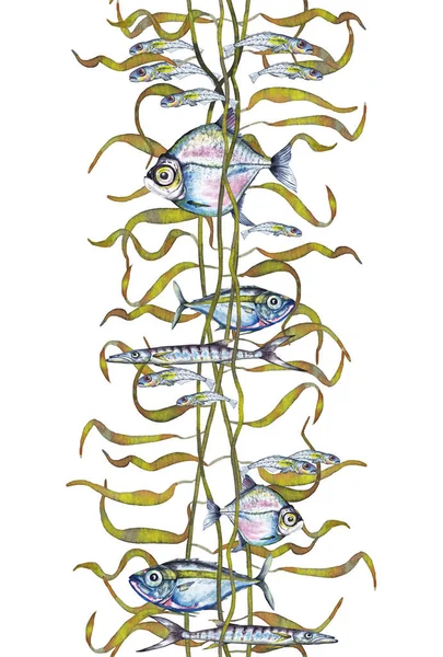 바다에 물고기와 해조류로 이루어진 바다없는 수직으로 장식된 경계입니다 천연색 손으로 — 스톡 사진