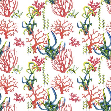 Gerçekçi deniz ışığı kırmızısı mercanlar ve deniz yosunlarının kusursuz deseni. Su altında vahşi yaşam. Suluboya elle beyaz arkaplana izole elementler çizdi. 