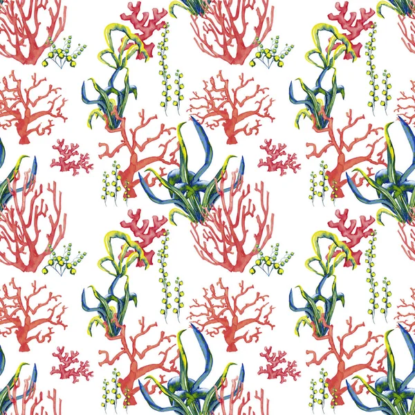Patrón Sin Costuras Corales Marinos Realistas Color Rojo Claro Algas —  Fotos de Stock