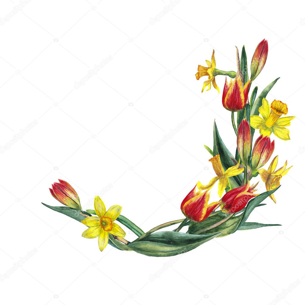 Semi round frame of realistic spring flowers. Yellow narcissuses and red tulips on stems with leaves. Festive texture for memorial day. Watercolor hand painted isolated elements on white background.