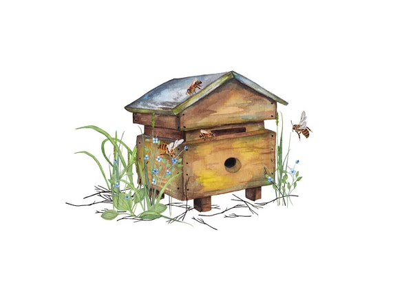 Ilustración Colorido Colmena Abejas Madera Realista Colmena Césped Jardín Con Imagen De Stock